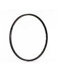 BA30 v2 Rim