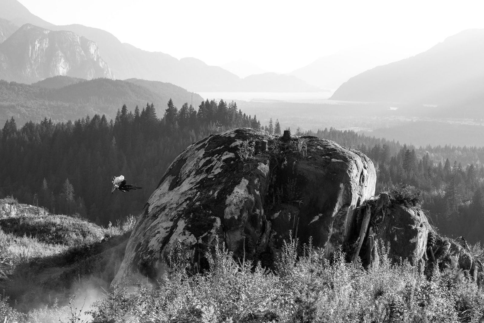 Vicente García-Huidobro B.